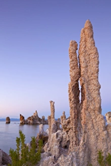 Tufas of calcium carbonate, Mono Lake Tufa State Reserve, California, United States of America