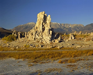 Tufas of calcium carbonate, Mono Lake Tufa State Reserve, California, United States of America
