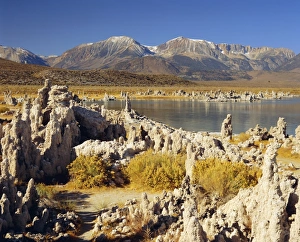 Tufas of calcium carbonate, Mono Lake Tufa State Reserve, California, United States of America
