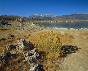 Tufas of calcium carbonate, Mono Lake Tufa State Reserve, California, United States of America