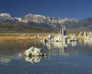Tufas of calcium carbonate, Mono Lake Tufa State Reserve, California, United States of America