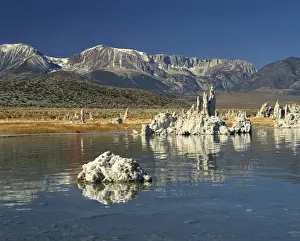 Mono Lake Prints: Tufas of calcium carbonate at lake in Mono Lake Tufa State Reserve