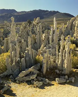 Mono Lake Prints: Tufas of calcium carbonate, Mono Lake Tufa State Reserve