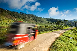 Taxi Prints: Tuk Tuk driving through a tea plantation near Haputale, Badulla District, Uva Province