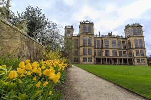 Stately Home Collection: Tulip border, pathway and lawn in spring at Hardwick Hall, near Chesterfield, Derbyshire, England