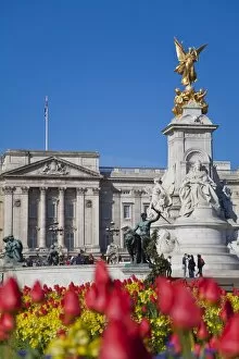 Images Dated 21st April 2010: Tulips in front of Buckingham Palace and Victoria Memorial, London, England
