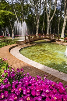Tulips Prints: Tulips and fountains in Gulhane Park (Rosehouse Park), Istanbul, Turkey, Europe