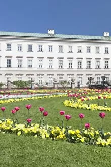 Images Dated 22nd April 2011: Tulips in Mirabell Garden, Mirabell Palace, UNESCO World Heritage Site, Salzburg, Salzburger Land