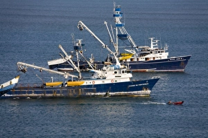 Fishing Prints: Tuna fishing boats, City of Manta, Manabi Province, Ecuador, South America