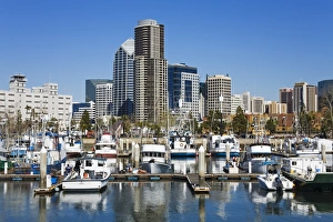 Tuna Harbor and skyline, San Diego, California, United States of America, North America