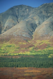 Denali Prints: Tundra, Broad Pass