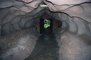 L Imestone Prints: Tunnel in limestone, Chinese Temple, Sam Poh Tong, Ipoh, Perak state, Malaysia