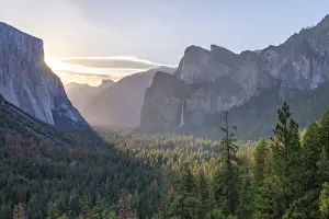 Coniferous Tree Prints: Tunnel View vista of Yosemite Valley in early morning sunlight, Yosemite