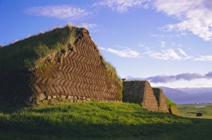 Turf Prints: Turf farmhouse