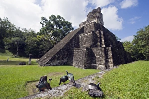 Mayan Ruin Prints: Turkeys at a pyramid in the Mayan ruins of Tikal, UNESCO World Heritage Site