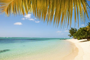 Le Morne Prints: Turquoise sea and white palm fringed beach, Le Morne, Black River, Mauritius, Indian Ocean