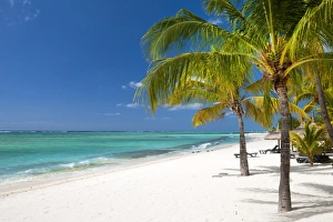 Turquoise sea and white palm fringed beach, Le Morne, Black River, Mauritius, Indian Ocean
