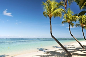 Turquoise sea and white palm fringed beach at Wolmar, Black River, Mauritius, Indian Ocean