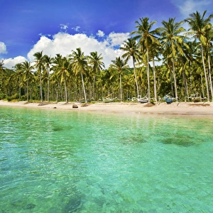 Nippah Beach Prints: Turquoise water and palm trees lining Nippah Beach, Indonesia, Southeast Asia, Asia