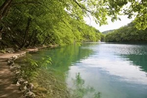 Images Dated 26th May 2010: The turquoise waters of Milanovac Lake, Plitvice Lakes National Park (Plitvicka Jezera)