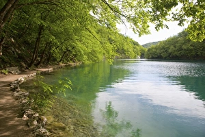 The turquoise waters of Milanovac Lake, Plitvice Lakes National Park (Plitvicka Jezera)