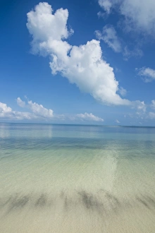New Caledonia Prints: Turquoise waters and white sand beach, Ouvea, Loyalty Islands, New Caledonia, Pacific