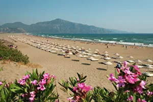 Asia Minor Prints: Turtle Beach, near Dalyan, Aegean, Anatolia, Turkey, Asia Minor, Eurasia