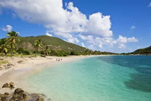 Turtle Beach, on the southeast peninsula, St. Kitts, Leeward Islands, West Indies