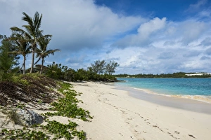 Bermuda Prints: Turtle beach, St. Davids island, Bermuda, North America
