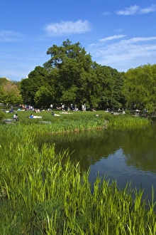 Images Dated 11th May 2007: Turtle Pond area in Central Park, New York City, New York, United States of America
