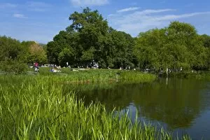 Turtle Pond area in Central Park, New York City, New York, United States of America