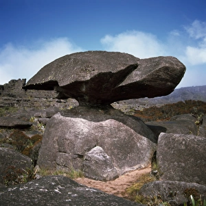 Balanced Rock Prints: Turtle Rock, Mount Roraima summit, Estado Bolivar, Venezuela, South America