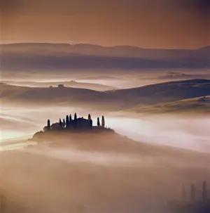Cypress Tree Prints: Tuscan farmhouse with cypress trees in misty landscape at sunrise