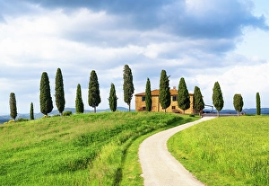 Pastoral Prints: Tuscan farmhouse and cypress trees in Val d'Orcia, UNESCO, Tuscany, Italy