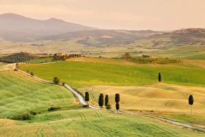 Pienza Prints: Tuscan landscape with cypress trees, near Pienza, Val d Orcia (Orcia Valley), UNESCO