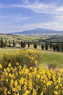 Pienza Prints: Tuscan landscape with Monte Amiata, near Pienza, Val d Orcia (Orcia Valley), UNESCO