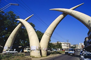 Congestion Prints: Tusk Arches