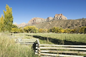 Zion Prints: _TUW7103