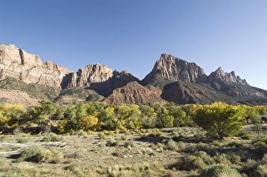 Zion Prints: _TUW7110