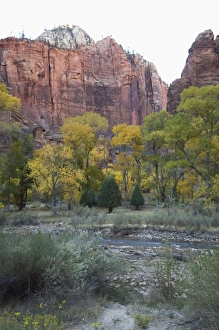 Zion Prints: _TUW7182
