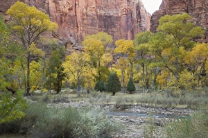 Zion Prints: _TUW7183