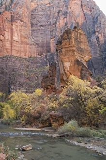 Zion Prints: _TUW7196