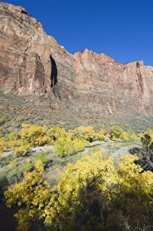 Zion Prints: _TUW7211