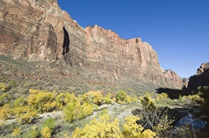 Zion Prints: _TUW7212