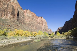Zion Prints: _TUW7220