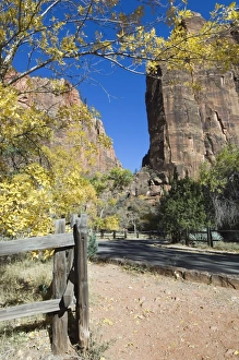 Zion Prints: _TUW7258