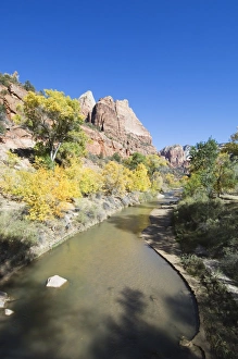 Zion Prints: _TUW7292