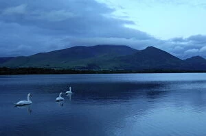 Images Dated 25th June 2007: Twilight at Bassenthwaite Lake, Lake District National Park, Cumbria, England