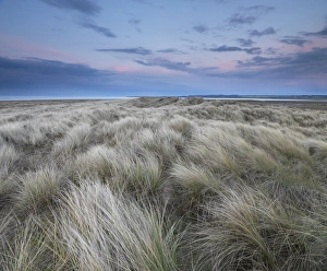 Norfolk Prints: Twilight on the dunes at Holme Nature Reserve, Norfolk, England