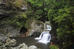 Canadian Culture Prints: Twin Falls, Lynn Canyon Park, Vancouver, British Columbia, Canada, North America